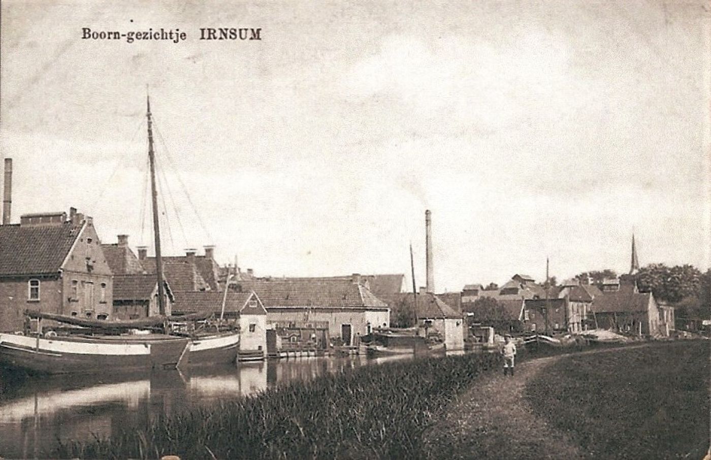 Boarngezichtjes 