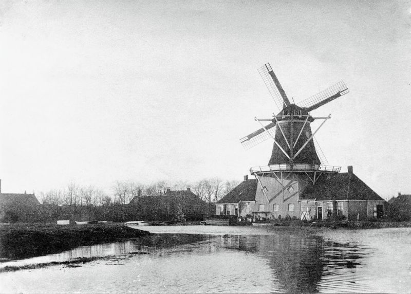 Boarn(gezichtjes) en Nijdam molen